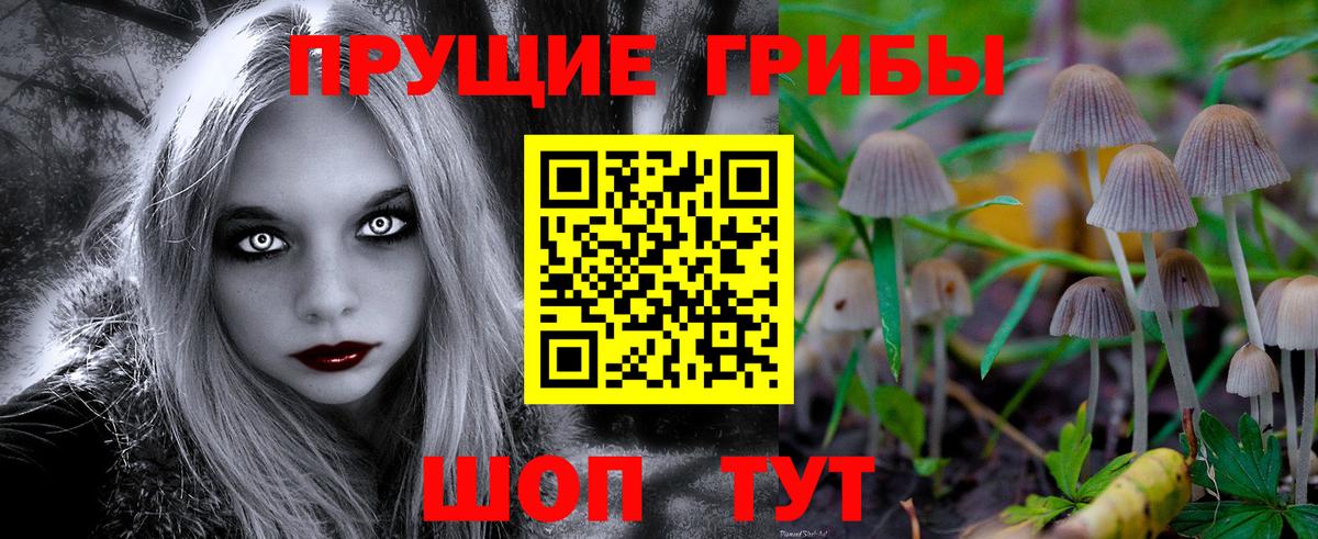 Галлюциногенные грибы прущие грибы  Псилоцибиновые грибы мухоморы  Хасавюрт  Вход с VPN 